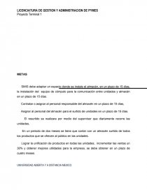 PROYECTO TERMINAL. ANÁLISIS DEL DIRECCIONAMIENTO ESTRATÉGICO. Página 17