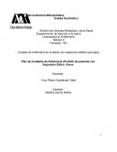 PLACE DE SUPRESION ETILICA