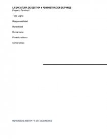 PROYECTO TERMINAL. ANÁLISIS DEL DIRECCIONAMIENTO ESTRATÉGICO. Página 5