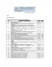 Ejemplo de cotización de un proyecto.. Página 1