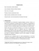 Tema: Veo y no me gusta.