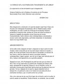 La escencia de la distribuccion trascendental de libros.