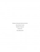 Diferentes criterios para la decisión de inversión mat. financiera iacc