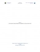 ¿Cómo afecta el largo del tubo de la zampoña en el tono que emite éste?