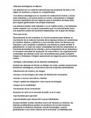 Alianzas estrategicas en Mexico