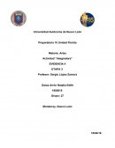 Artes Actividad “Integradora” EVIDENCIA 4