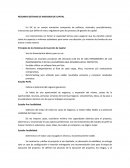 Resumen Sistemas de Inversion de Capital