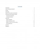 Presupuesto Maestro.