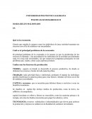 POLITICAS DE DESARROLLO II