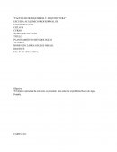 Una solución al problema Redes de Agua Potable.