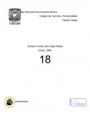 Ensayo - Bonanza Obra de Arturo Amaro