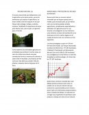 IMPORTANCIA Y PROTECCIÓN DEL RECURSO NATURAL