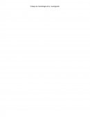 Trabajo de metodología de la investigación.