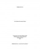 PROBLEMÁTICA “SALUD OCUPACIONAL”