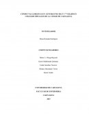 CONDUCTAS AGRESIVAS EN ESTUDIANTES DE 6° Y 7° GRADO EN COLEGIOS OFICIALES DE LA CIUDAD DE CARTAGENA