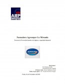 EL gran Proyecto de Prevención basado en la higiene y seguridad industrial