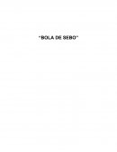 Bola de sebo. Guion de ideas