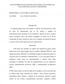 MANTENIMIENTO DE EQUIPOS DE MATERIAL DE GUERRA DE TELECOMUNICACIONES E INGENIEROS.