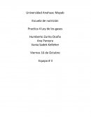 Practica 4 Ley de los gases