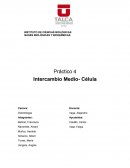 Informe bases biologicas y bioquimicas laboratorio de membrana