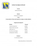 El auto eléctrico: El futuro del trasporte, la energía y el medio ambiente.