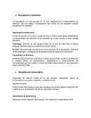 Resumen de Percepción