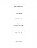 PENSAMIENTO LOGICO Y MATEMATICO MOMENTO INTERMEDIO