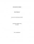 ¿Hoy por hoy sí vale la pena ser ético?