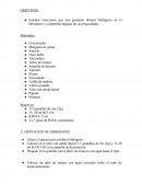 LABORATORIO HIROGENO.