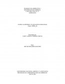 La empresa NEXUS S.A.