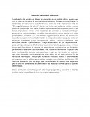 ANALISIS MERCADO LABORAL