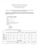 Expectativas profesionales y laborales de los estudiantes de sociología