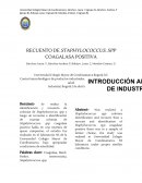 RECUENTO DE STAPHYLOCOCCUS. SPP COAGALASA POSITIVA