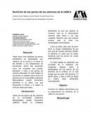 Alimentacion en perros