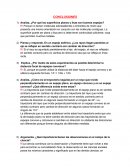 ¿Por qué las superficies planas y lisas son buenos espejos?