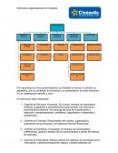 Estructura organizacional de Cinepolis.