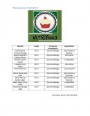 Microempresa “Nutrifufood”