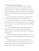 Pedagogía del oprimido.