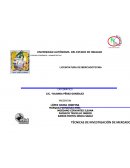 Agencia de investigacion de mercados “Marketing revolution”