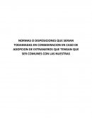 Derechos de adopcion a extranjeros.