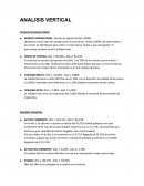 ANALISIS VERTICAL DE NEGOCIO.