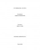 El análisis organizacional y las estrategias corporativas