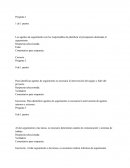 Administracion de Proyectos informaticos.