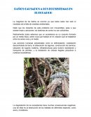 DAÑOS A LOS ECOSISTEMA
