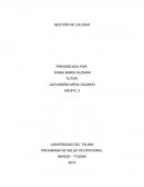 Ensayo calidad practica