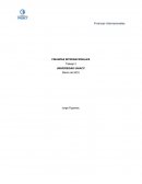 TRABAJO DE FINANZAS INTERNACIONALES.