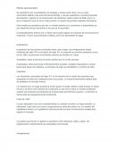 Resumen- Modelo agroexportador