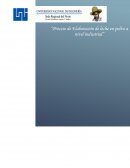 Procesamiento de la Leche en polvo