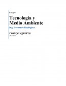 Cuidar el ambiente es cuidar la vida humana