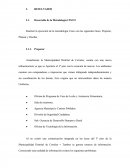 Desarrollo de la Metodología CISCO